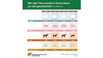 BZL-Infografik: Wie werden Tiere in Deutschland pro Jahr geschlachtet?