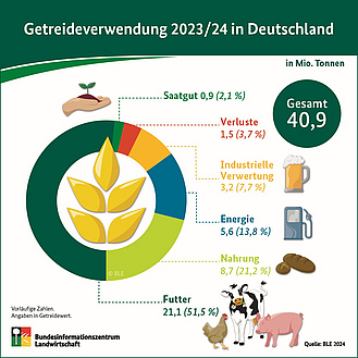BZL-Infografik: Getreideverwendung 2023/24 in Deutschland