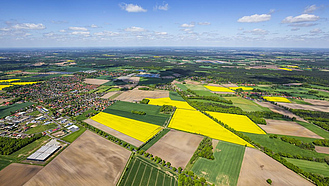 Luftbild einer ländlichen Region mit Rapsfeldern