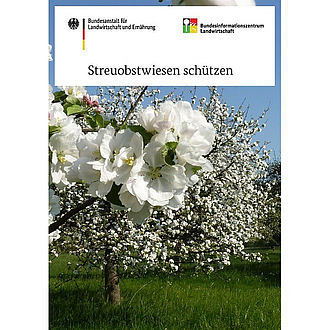 Cover der Broschüre "Streuobstwiesen schützen"