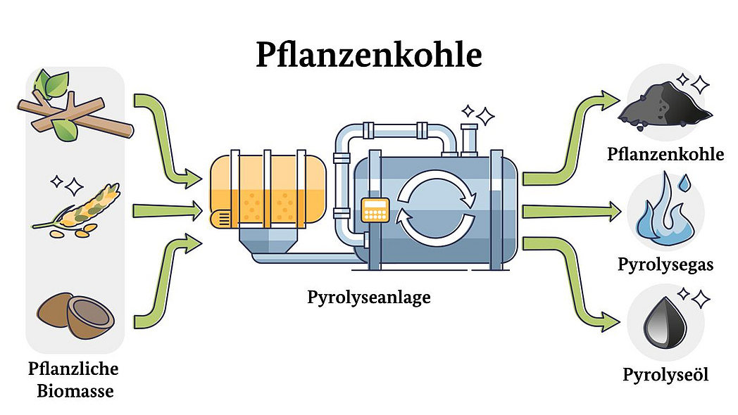 Eine Grafik zur Veranschaulichung der Entstehung von Pflanzenkohle