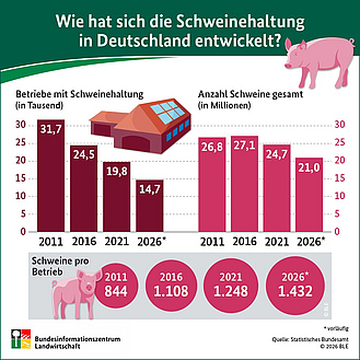 Infografik "Wie hat sich die Schweinehaltung in Deutschland entwickelt?"
