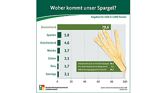 Vorschau BZL-Infografik: Woher kommt unser Spargel? Angaben aus dem Jahr 2024