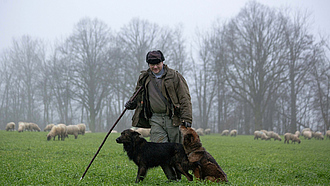 Schäfer mit Hund