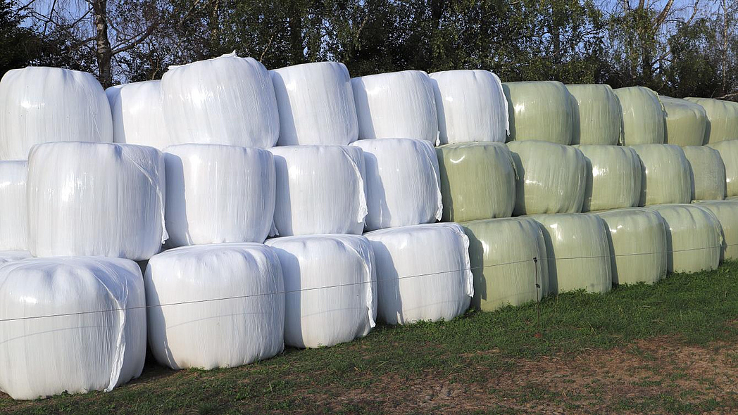 Balas de silo blancas y verdes apiladas en tres filas al borde de un prado frente a un seto