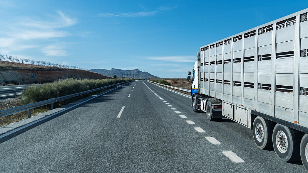 Tiertransporter auf der Autobahn.
