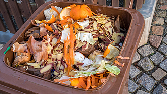 Offene Biotonne mit Küchenabfällen