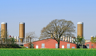 Geflügelstall Geflügelstall