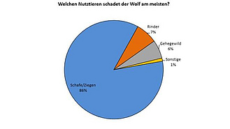 Kreisdiagramm zur Frage: Welchen Nutztieren schadet der Wolf am meisten?