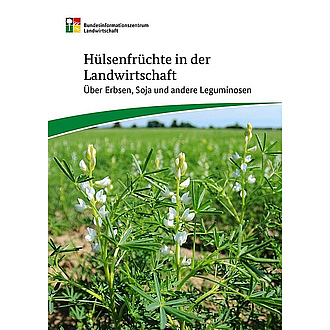 Cover der Broschüre "Schmetterlinge im Bauch"