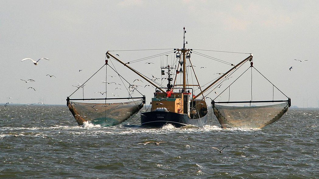 Ein Krabbenkutter mit zwei Netzen an den Seiten auf dem offenen Meer. 