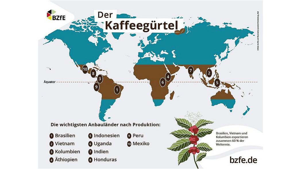 Grafische Ansicht einer Weltkarte mit Darstellung des Bereichs, wo Kaffee angebaut wird.