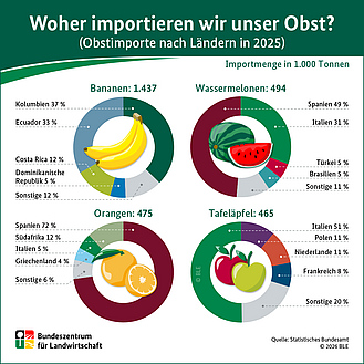 BZL-Infografik: Woher kommt unser Obst? Obstimporte nach Ländern im Jahr 2022