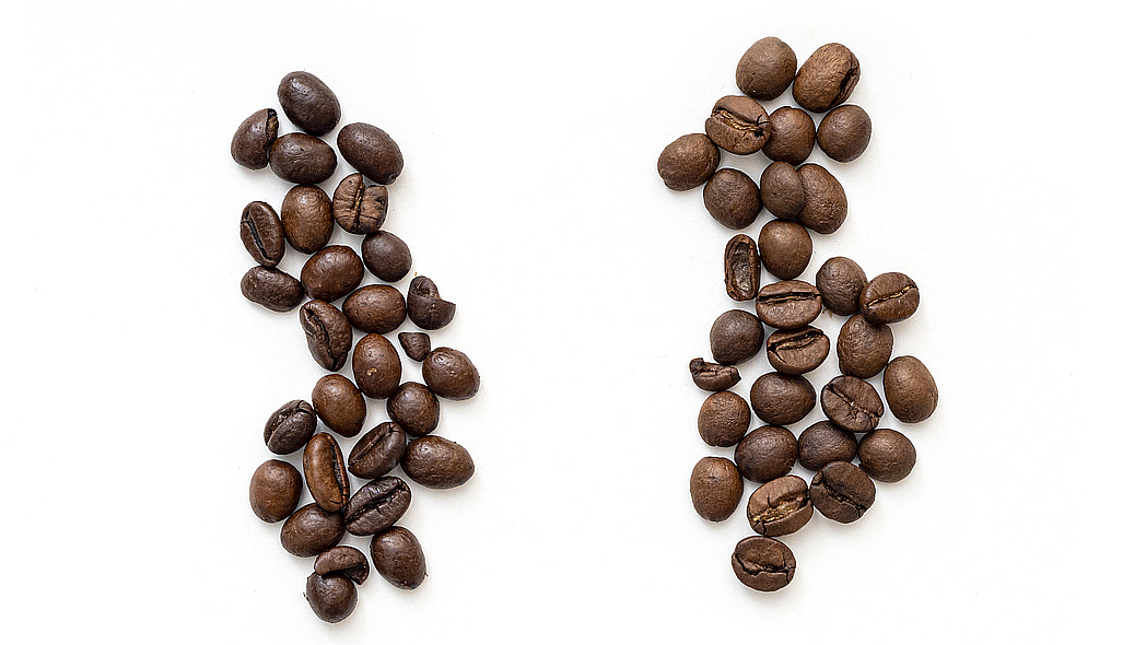 Je ein Häufchen Robusta-Kaffeebohnen und Arabica-Kaffeebohnen.