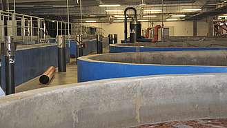 Eine Aquakultur in einer Halle mit runden Becken