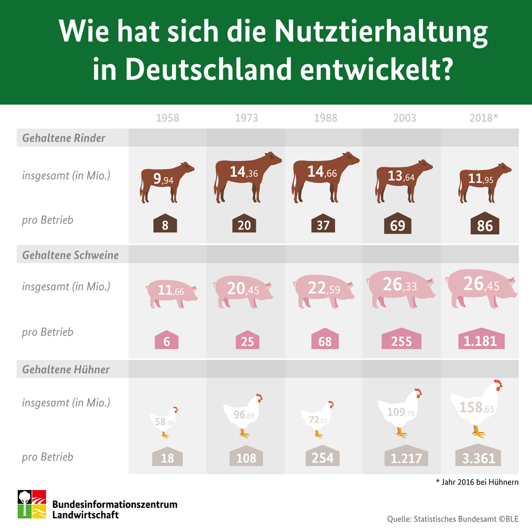 Infografik: Wie hat sich die Nutztierhaltung in Deutschland entwickelt?