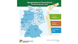 BZL-Infografik: Spargelanbau in Deutschland (Anzahl der Betriebe 2019)