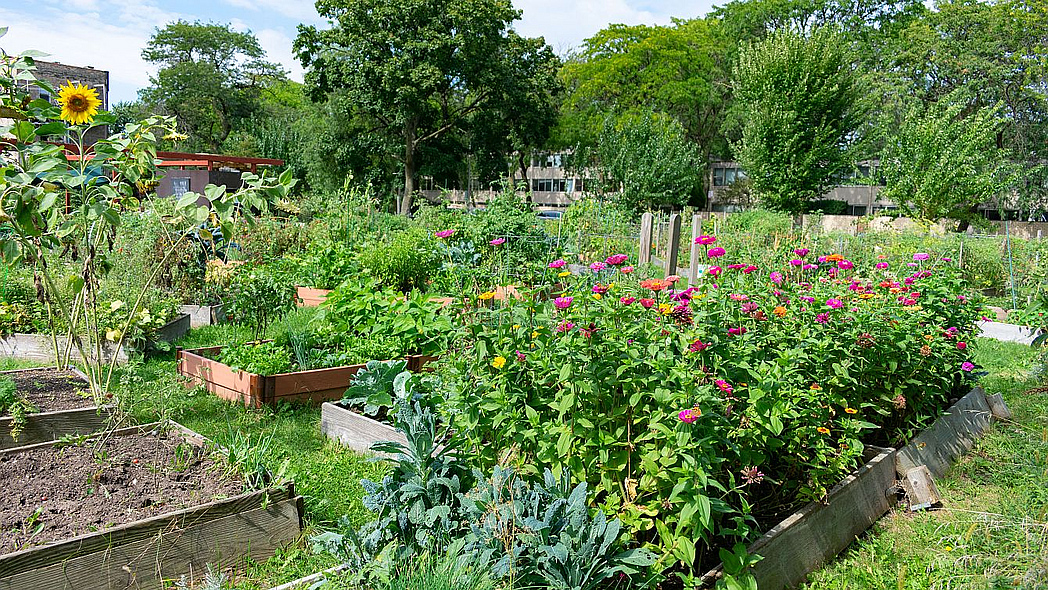 Naturgarten mit Gemüse, Bäumen und Sträuchern