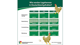 BZL-Infografik: Wie werden Legenhennen in Deutschland gehalten?
