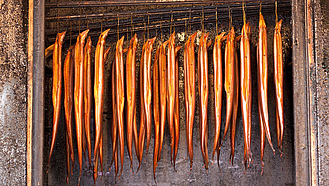 Viele Aale hängen in einer Räucherkammer.