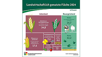 Infografik: Landwirtschaftliche Flächennutzung 2023
