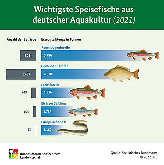 Infografik Speisefische aus deutscher Aquakultur