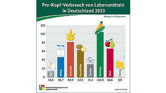 BZL-Infografik: Pro-Kopf-Verbrauch von Lebensmitteln in Deutschland 2023