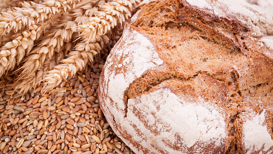 frisch gebackenes knuspriges Brot