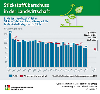 BZL-Infografik: Stickstoffüberschuss in der Landwirtschaft