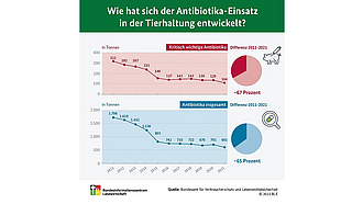 BZL-Infografik: Wie hat sich der Antibiotika-Einsatz in der Tierhaltung entwickelt?
