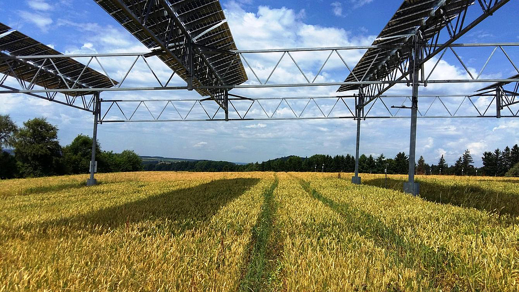 Solarmodule über einem Weizenfeld