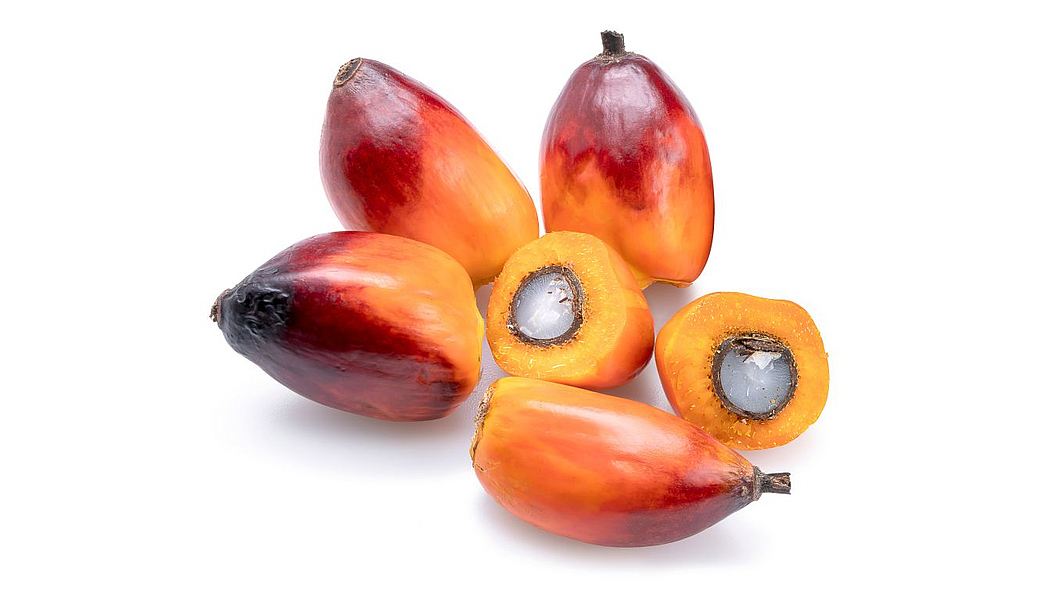 : Früchte der Ölpalme, eine davon halbiert, sodass man den Kern sehen kann. 